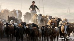 خشکسالی تاجیکستان را تهدید می‌کند