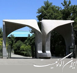 چالش‌های محیط‌زیست؛ چرا دانشگاه‌ها کم‌توجهی دارند؟