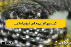 اعضای هیات رییسه کمیسیون انرژی مجلس انتخاب شدند