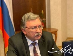 اولیانوف: قطعنامه علیه ایران در شورای حکام، اشتباه محاسباتی بود