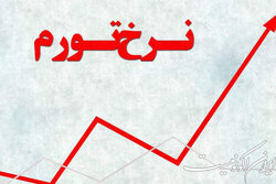 تشریح دلایل اعلام نشدن نر خ تورم توسط بانک مرکزی