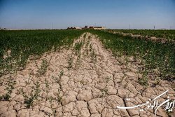 برگزاری دهمین اجلاس سالانه مشارکت جهانی خاک در سراسر جهان
