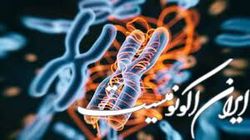 شناسایی ژن‌های موثر در بیماری پلی کیستیک کلیه در ایران