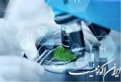 بررسی جنبه‌های اشتغال‌آفرینی حوزه بیوتِک در یک رویداد ۲ روزه