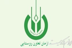 تولید ۱۹۸ هزار تن بذر انواع محصولات توسط سازمان تعاون روستایی