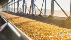 احیای مسیرهای حمل؛ از راه آهن زنگ زده  شهر رنی  تا  بندرگالاتی 