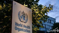 سازمان جهانی بهداشت خواستار اقدام فوری برای مقابله با آبله میمون در اروپا شد
