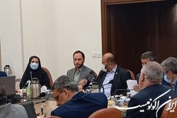 آمادگی هیئت دولت برای تصویب مصوبات مورد نیاز طرح نهضت ملی مسکن
