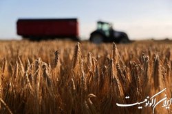 جنگ اوکراین نهاده‌های کشاورزی را ۱۰ درصد گران کرد