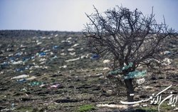 «ممنون، کیسه نمی‌خوام»