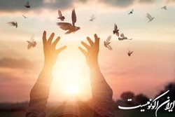 5 محکوم به قصاص آزاد شدند