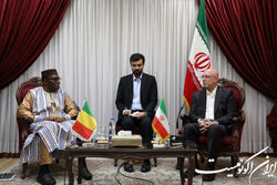 اعلام آمادگی ایران برای ارایه تجربیات علمی و پژوهشی به کشور مالی