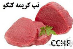 مردم توصیه‌های بهداشتی برای پیشگیری از تب کنگو را رعایت کنند