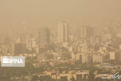 نشست وزیران محیط‌زیست کشورهای همجوار در ایران برگزار می شود