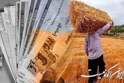 پرداخت ۲ هزار میلیارد تومان از مطالبات گندمکاران