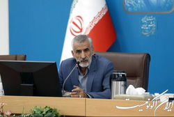 میراحمدی: سفر انفرادی به عتبات عالیات بلامانع است