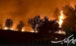 نکاتی که باید درباره آتش‌سوزی جنگل و فضای سبز بدانیم