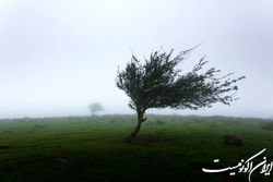 پیش‌بینی رگبار باران و بارش تگرگ در برخی استان‌ها