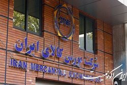 تصمیمات دفعتی و دستوری به زیان تولید و سهامداران است