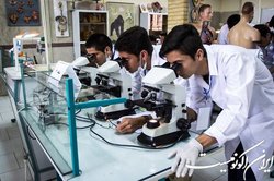 با افزایش تعداد پژوهشگران، تخلفات افزایش یافته
