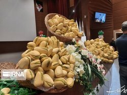 صادرات ۶۴ میلیون یورو پسته ایران به اروپا