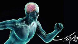 چرا ورزش‌کردن آی‌کیو را تقویت می‌کند؟