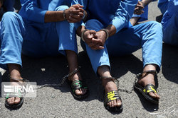 سارقان منزل حین سرقت دستگیر شدند