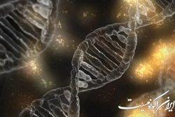 سرنخ‌هایی در مورد عامل ژنتیکی بیماری پارکینسون