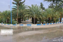 رگبار باران و سیلابی شدن رودخانه‌ها در دو استان جنوبی