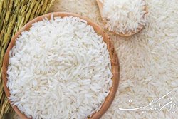افزایش ۲۰ درصدی تولید برنج در کشور