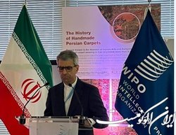 تاکید سفیر ایران بر اهتمام ایران نسبت به حمایت از حقوق مالکیت معنوی هنرمندان، طراحان و بافندگان