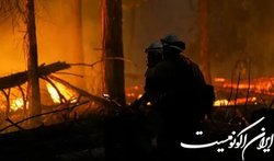 ۱۰۰ میلیون آمریکایی در معرض هشدار موج گرما