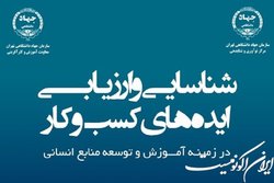 کارگاه تخصصی آموزش شناسایی و ارزیابی ایده‌های کسب و کار در توسعه منابع انسانی
