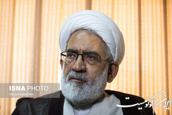 منتظری: مستندات جرم در اکثر گزارش‌های ارسالی مجلس به قوه قضائیه مشخص نیست