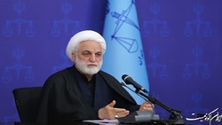 تخلفات یک شرکت در جریان واردات محموله نهاده‌های دامی به کشور پیگیری شود