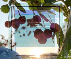 تبدیل پنجرههای خانه به نیروگاه خورشیدی با فناوری جدید