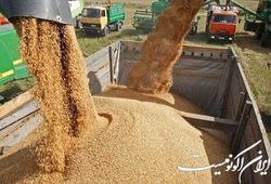 عزم ستاد توسعه زیست فناوری برای قطع واردات ۱۰ میلیارد دلاری خوراک دام