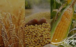 تاثیر الگوی پیشرفت بر تامین امنیت غذایی