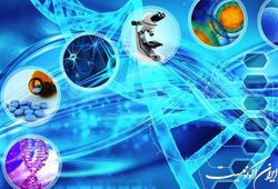 آیین‌نامه تجاری‌سازی طرح‌های دانشگاهی به دولت ارائه شد