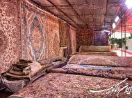 همه به به و چه چه می‌کنند ولی خرید نه!