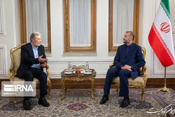امیرعبداللهیان بر تداوم سیاست ایران در حمایت از آرمان آزادی فلسطین تاکید کرد