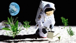خاک سیارک‌ها محیط مناسبی برای رشد محصولات کشاورزی است