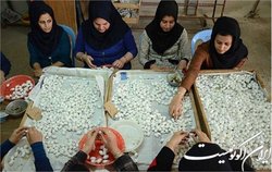 پرداخت تسهیلات اشتغال به بیش از ۲۷ هزار طرح روستایی و عشایری