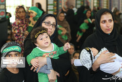 همایش شیرخوارگان حسینی در مصلای تهران برگزار نمی‌شود