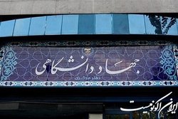 رسالت جهاد دانشگاهی در عرصه هنر، ژرف‌اندیشی است