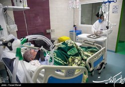 آخرین اخبار کرونا در ایران| رشد ۲۹۲.۹۵درصدی نرخ ابتلا از ۱۳ فروردین در پیک هفتم