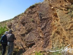 تعامل سازمان زمین‌شناسی با دانش‌بنیان‌ها توسعه می‌یابد