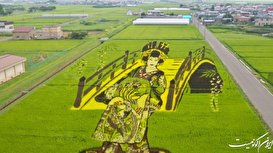 هنرنمایی روی شالیزار‌های برنج/فیلم