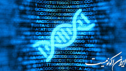 برگزاری کارگاه استخراج RNA و سنتز CDNA و  REAL TIME PCR