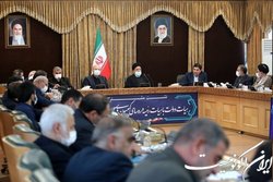 مجلس خود را موظف به همراهی با دولت می داند